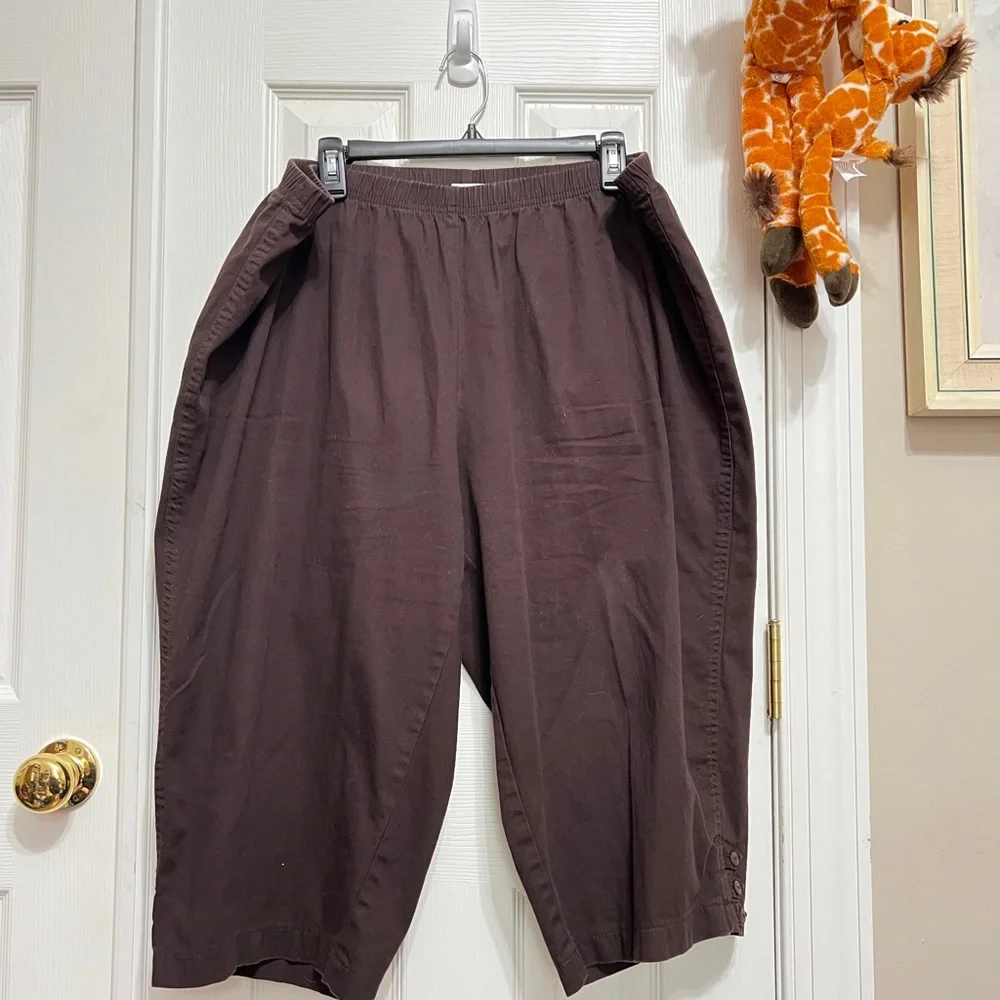 Just My Size Brown Capris - Picture 2 of 5